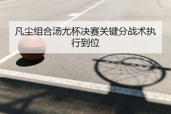 凡尘组合汤尤杯决赛关键分战术执行到位